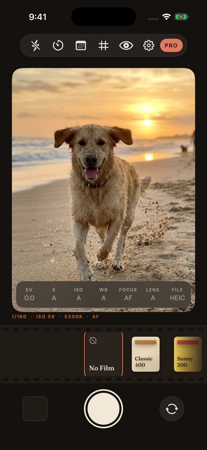 Umber's camera: a dog running on a beach at sunset in the viewfinder, a bar of manual controls for exposure, shutter, ISO, white balance, focus, lens and file format, and a strip of film looks with No Film chosen.